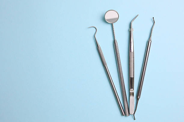 Top rated local Dental specialists in Thonotosassa, FL